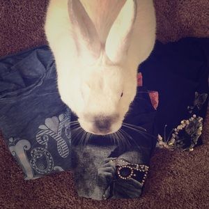 Fashion little girls tops (bunny not included)